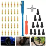 Renkaiden korjaustyökalusarja venttiilien irrotukseen TSX TOOL 43 osaa